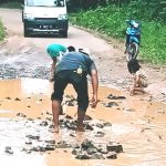 gowa