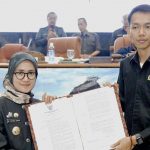 gowa 1
