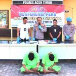 gowa 1