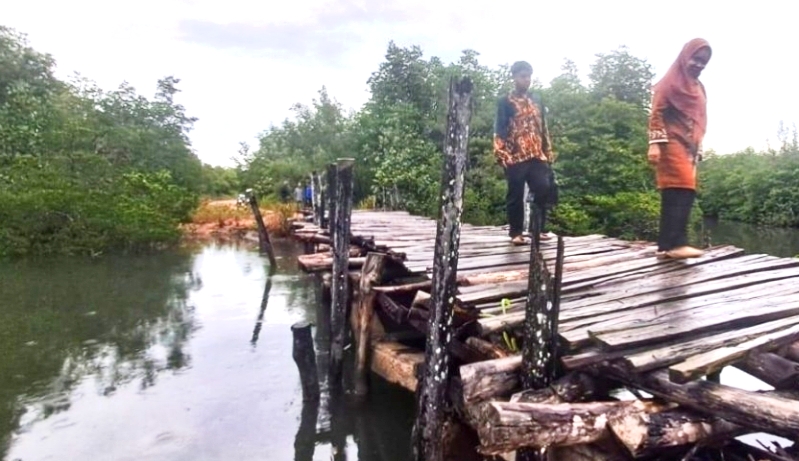 Camat Seri Kuala Lobam, Nona Yani M Abas Manupassa meninjau jembatan yang rusak di Desa Kuala Sempang, Kamis (13/11) petang. F. Slamet Nofasusanto/Batam Pos