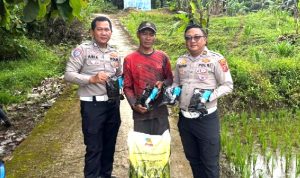 Oplus_16908288