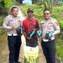 Oplus_16908288