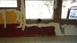 Oplus_16908288
