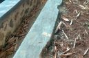 Oplus_16908288