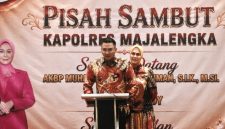 Oplus_16908288