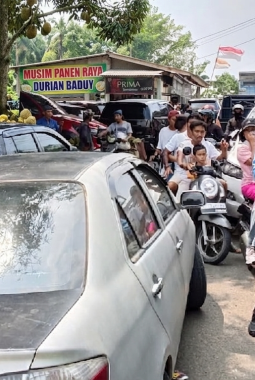 Musim Panen Raya Durian Baduy, Jaro Oom Apresiasi Kunjungan Wisatawan