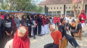 Oplus_16908288
