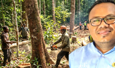 Ancaman Bencana Berlipat di Sorong: Dari Kebakaran Lahan Hingga Pembalakan Liar