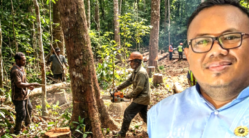 Ancaman Bencana Berlipat di Sorong: Dari Kebakaran Lahan Hingga Pembalakan Liar