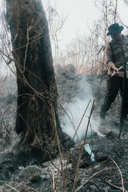Kebakaran Hutan di Gunung Ciremai Padam, Petugas Sisir Bara Api Tersisa
