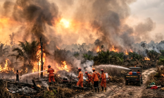 Bencana Kebakaran Hutan dan Lahan Merampas Hak Warga atas Udara Bersih