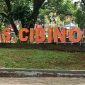 Oplus_16908288