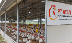 Soal PT Ayam Mas, GMBI Tantang Wabup Lebak: Jangan Cuma Gertak, Publik Butuh Sanksi Tegas!