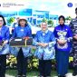 Oplus_16908288